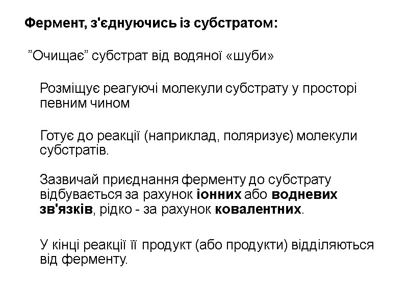 Фермент, з'єднуючись із субстратом:   ”Очищає” субстрат від водяної «шуби»  Розміщує реагуючі